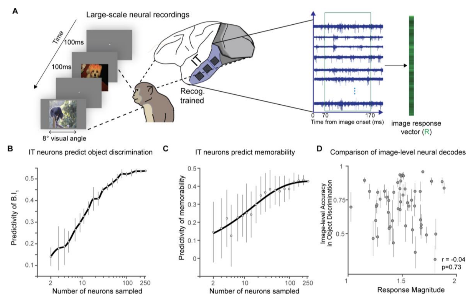 Joint Recognition + Memorability